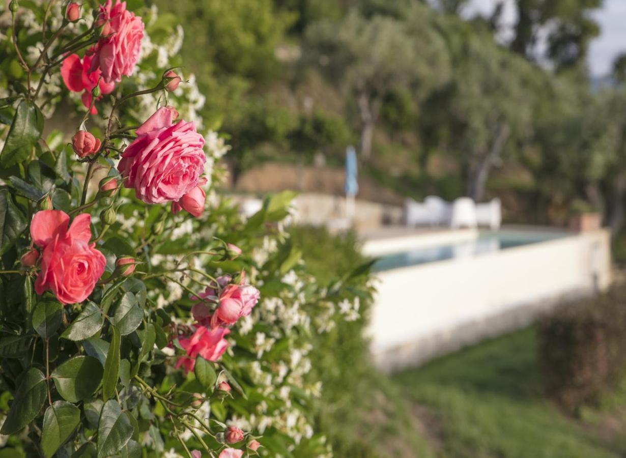 Villa Laura Capo d'Orlando Exterior photo